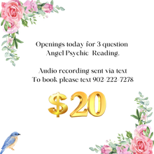 Load image into Gallery viewer, 3 questions for $20
